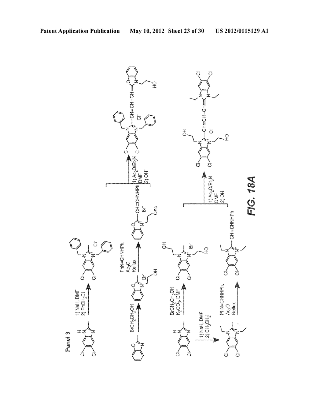 ENZYME SUBSTRATE COMPRISING A FUNCTIONAL DYE AND ASSOCIATED TECHNOLOGY AND     METHODS - diagram, schematic, and image 24