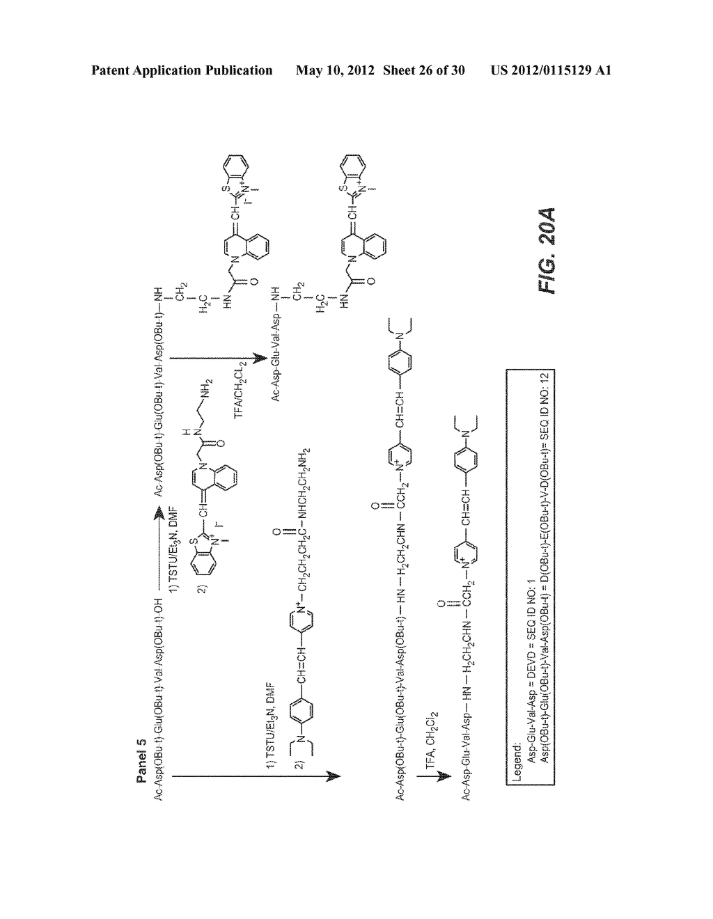 ENZYME SUBSTRATE COMPRISING A FUNCTIONAL DYE AND ASSOCIATED TECHNOLOGY AND     METHODS - diagram, schematic, and image 27