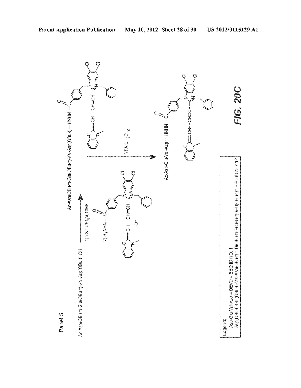 ENZYME SUBSTRATE COMPRISING A FUNCTIONAL DYE AND ASSOCIATED TECHNOLOGY AND     METHODS - diagram, schematic, and image 29