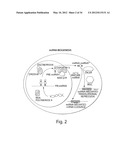 GENETIC LESION ASSOCIATED WITH CANCER diagram and image