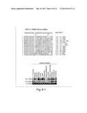 GENETIC LESION ASSOCIATED WITH CANCER diagram and image