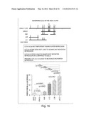 GENETIC LESION ASSOCIATED WITH CANCER diagram and image