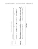 GENETIC LESION ASSOCIATED WITH CANCER diagram and image