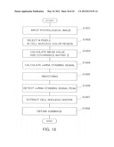 METHOD FOR EVALUATING CANCER diagram and image