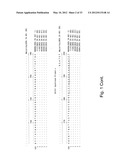 Reagents and Methods for Detecting Neisseria Gonorrhoeae diagram and image