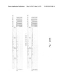 Reagents and Methods for Detecting Neisseria Gonorrhoeae diagram and image