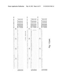 Reagents and Methods for Detecting Neisseria Gonorrhoeae diagram and image