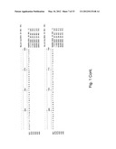 Reagents and Methods for Detecting Neisseria Gonorrhoeae diagram and image