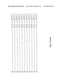 Reagents and Methods for Detecting Neisseria Gonorrhoeae diagram and image