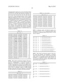 Reagents and Methods for Detecting Neisseria Gonorrhoeae diagram and image