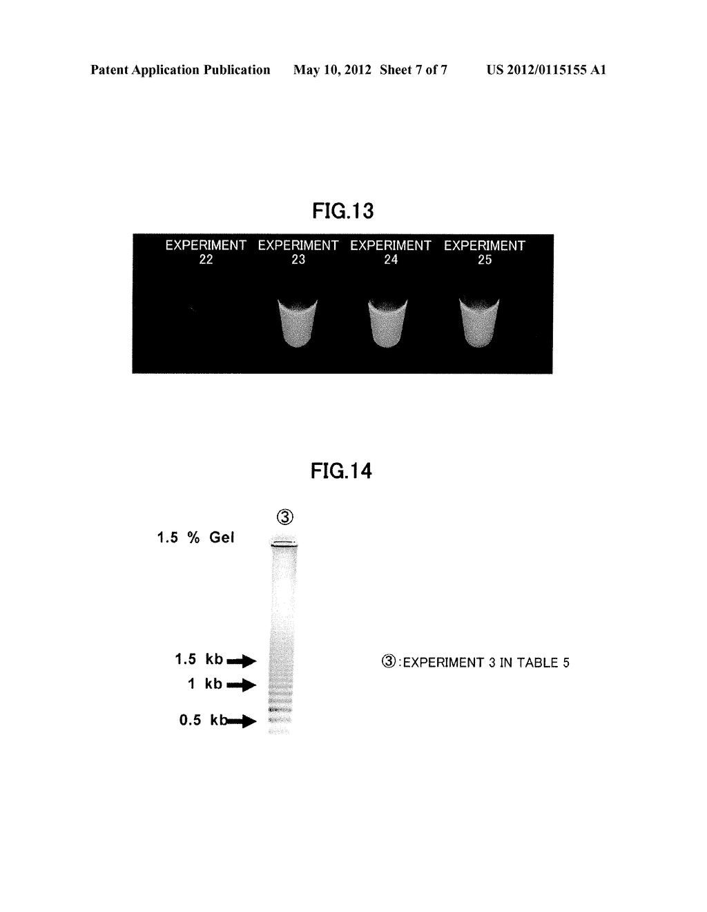 Method for Amplifying Nucleic Acid - diagram, schematic, and image 08