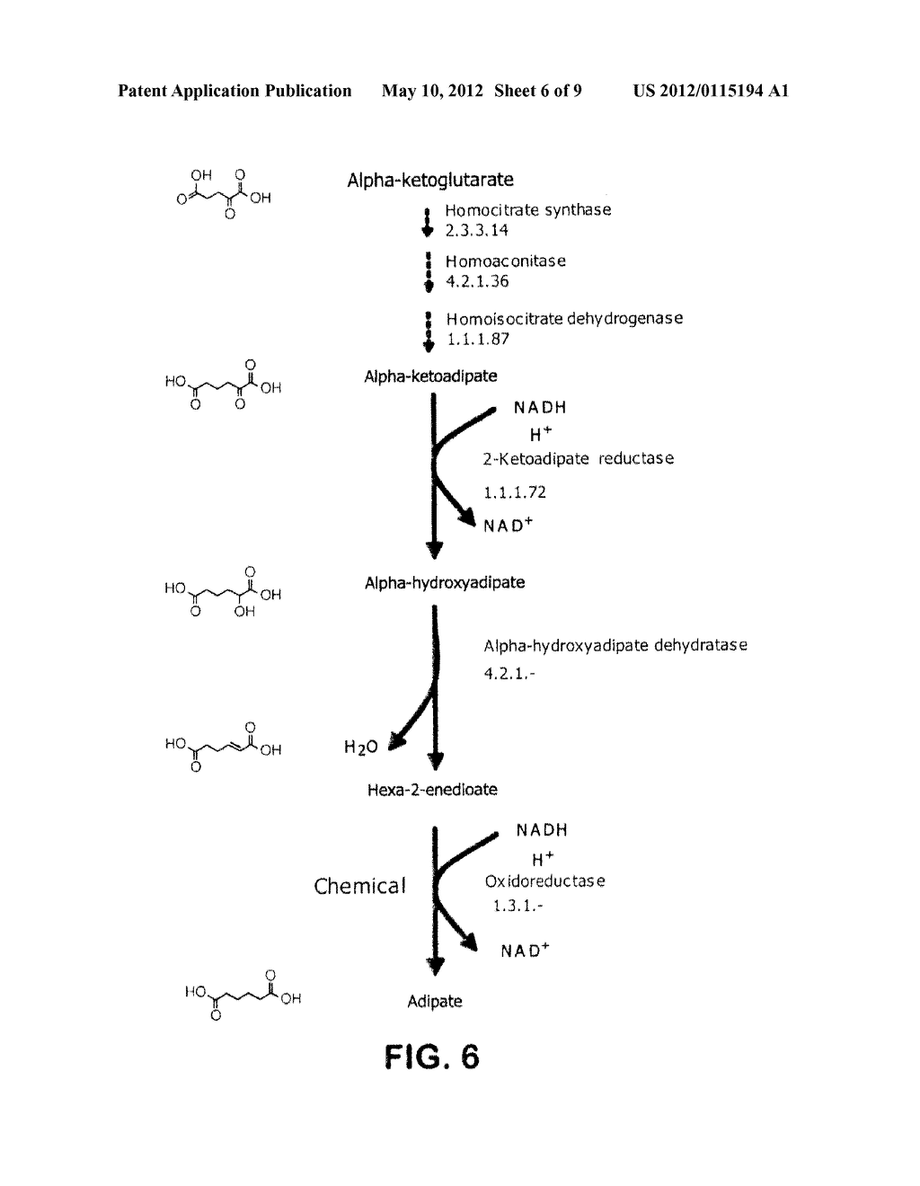 MICROORGANISMS FOR THE PRODUCTION OF ADIPIC ACID AND OTHER COMPOUNDS - diagram, schematic, and image 07