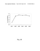 NON-TUMORIGENIC MDCK CELL LINE FOR PROPAGATING VIRUSES diagram and image