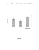 NON-TUMORIGENIC MDCK CELL LINE FOR PROPAGATING VIRUSES diagram and image