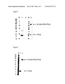 CONJUGATION METHOD diagram and image