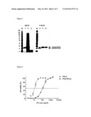 CONJUGATION METHOD diagram and image