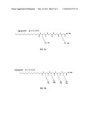 ANTIMICROBIAL CATIONIC LIPO-BETA-PEPTIDES diagram and image