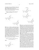 Substituted Heteroaromatic Carboxamide and Urea Compounds as Vanilloid     Receptor Ligands diagram and image