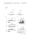 INHIBITORS OF ANAPHASE PROMOTING COMPLEX ACTIVITY diagram and image
