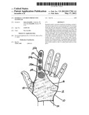 BASEBALL CATCHER S PROTECTIVE HANDWEAR diagram and image