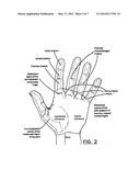 BASEBALL CATCHER S PROTECTIVE HANDWEAR diagram and image