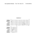 ALTERATION OF TOBACCO ALKALOID CONTENT THROUGH MODIFICATION OF SPECIFIC     CYTOCHROME P450 GENES diagram and image