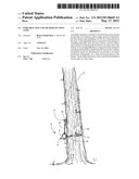 PORTABLE STEP AND METHOD OF USING SAME diagram and image