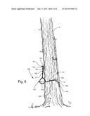 PORTABLE STEP AND METHOD OF USING SAME diagram and image