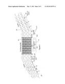 METHOD AND APPARATUS FOR THE ELIMINATION OF BACTERIA FROM FOOD diagram and image