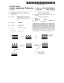 Method And Materials For Double Patterning diagram and image