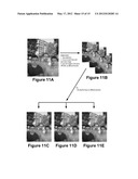 RAPID AUTO-FOCUS USING CLASSIFIER CHAINS, MEMS AND/OR MULTIPLE OBJECT     FOCUSING diagram and image