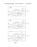 Electronic Apparatus, Image Capturing Apparatus and Method Thereof diagram and image