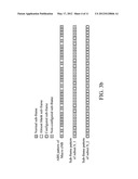 METHODS FOR CONFIGURING CHANNEL STATE INFORMATION MEASUREMENT IN A     COMMUNICATIONS SYSTEM AND COMMUNICATIONS APPARATUSES UTILIZING THE SAME diagram and image