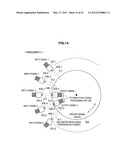 ELECTRONIC DEVICE, SIGNAL TRANSMISSION DEVICE, AND SIGNAL TRANSMISSION     METHOD diagram and image