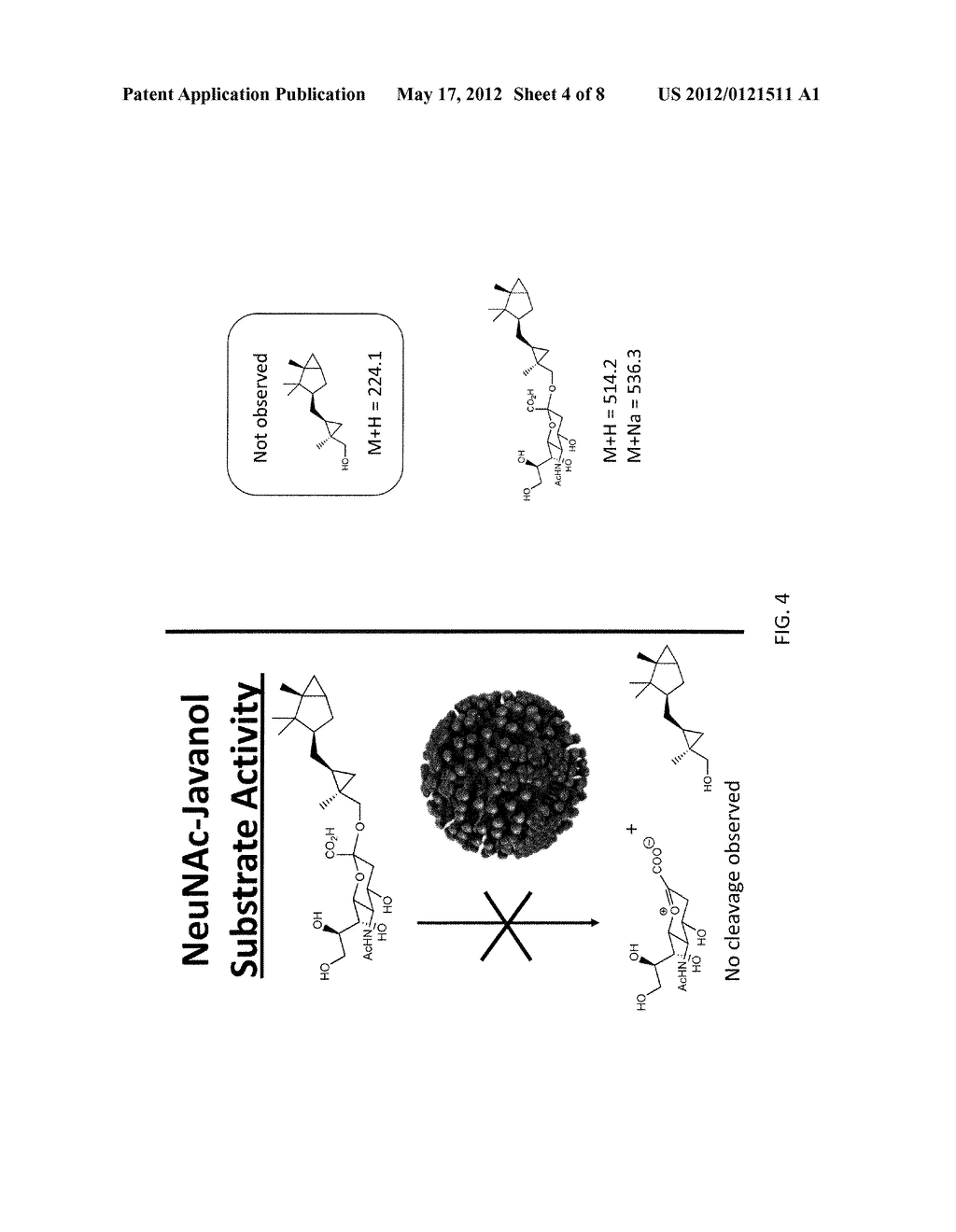 INFECTION DETECTION METHODS AND SYSTEMS AND RELATED COMPOUNDS AND     COMPOSITIONS - diagram, schematic, and image 05