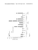 Compositions and Methods of Using Living and Non-Living Bioactive Devices     with Components Derived From Self-Renewing Colony Forming Cells Cultured     and Expanded In Vitro diagram and image