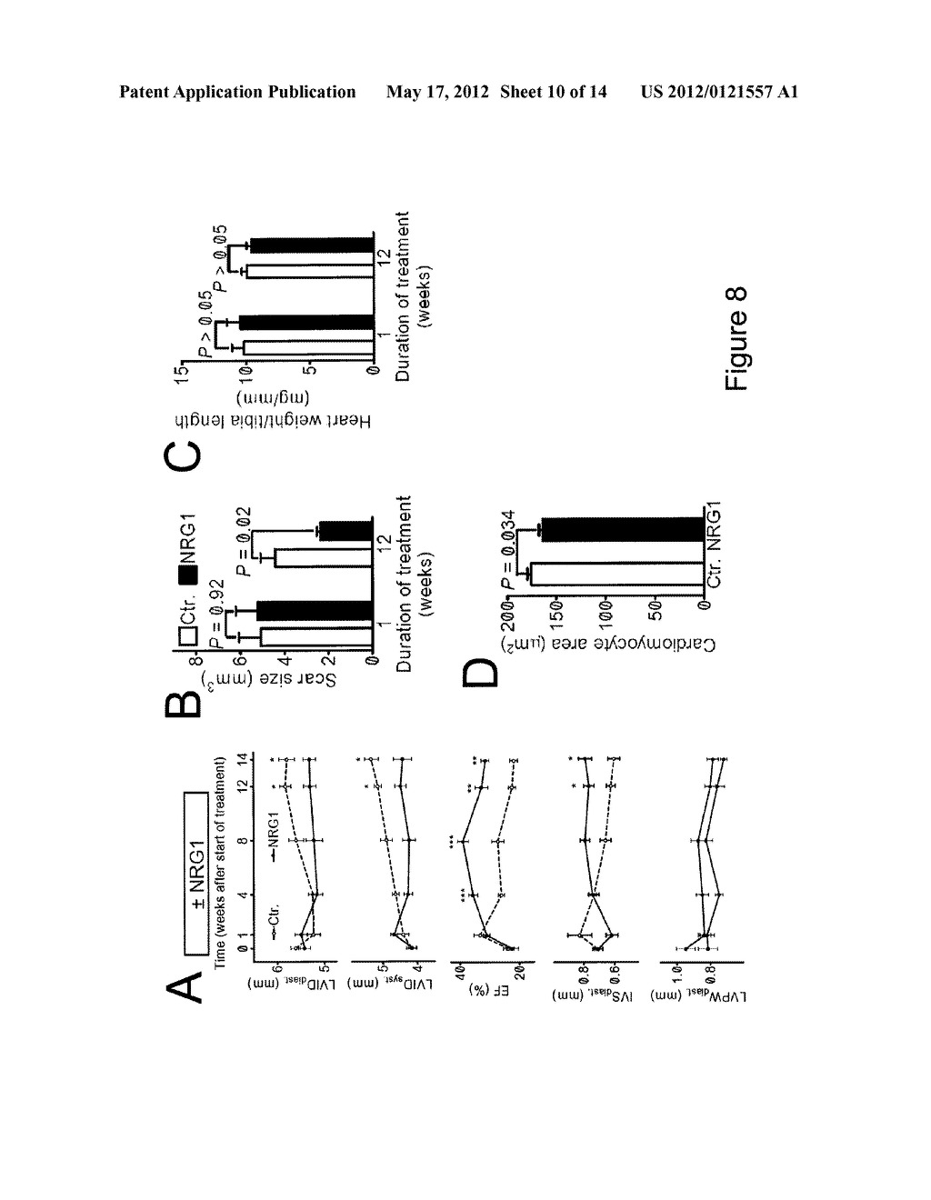 NEUREGULIN INDUCED PROLIFERATION OF CARDIOMYOCYTES - diagram, schematic, and image 11