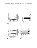 NEUREGULIN INDUCED PROLIFERATION OF CARDIOMYOCYTES diagram and image