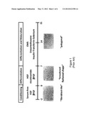 COMPOSITIONS AND METHODS FOR TREATING PLASMA PROTEIN DEFICIENCY DISORDERS diagram and image