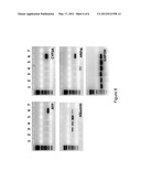 COMPOSITIONS AND METHODS FOR TREATING PLASMA PROTEIN DEFICIENCY DISORDERS diagram and image