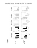 SPECIALIZED NUTRITIONAL FORMULA FOR ADULT PATIENTS WITH GASTROINTESTINAL     INTOLERANCE CONTAINING PROBIOTICS diagram and image