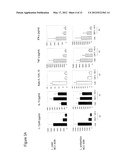 SPECIALIZED NUTRITIONAL FORMULA FOR ADULT PATIENTS WITH GASTROINTESTINAL     INTOLERANCE CONTAINING PROBIOTICS diagram and image