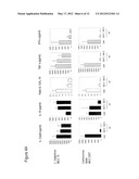 SPECIALIZED NUTRITIONAL FORMULA FOR ADULT PATIENTS WITH GASTROINTESTINAL     INTOLERANCE CONTAINING PROBIOTICS diagram and image