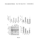 MODIFIED EGFR ECTODOMAIN diagram and image