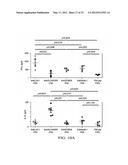 Targeting Antigens to Human Dendritic Cells Via DC-Asialoglycoprotein     Receptor to Produce IL-10 Regulatory T-Cells diagram and image