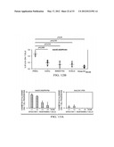 Targeting Antigens to Human Dendritic Cells Via DC-Asialoglycoprotein     Receptor to Produce IL-10 Regulatory T-Cells diagram and image