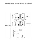 Targeting Antigens to Human Dendritic Cells Via DC-Asialoglycoprotein     Receptor to Produce IL-10 Regulatory T-Cells diagram and image