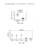 Targeting Antigens to Human Dendritic Cells Via DC-Asialoglycoprotein     Receptor to Produce IL-10 Regulatory T-Cells diagram and image