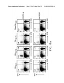 Targeting Antigens to Human Dendritic Cells Via DC-Asialoglycoprotein     Receptor to Produce IL-10 Regulatory T-Cells diagram and image