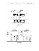 Targeting Antigens to Human Dendritic Cells Via DC-Asialoglycoprotein     Receptor to Produce IL-10 Regulatory T-Cells diagram and image